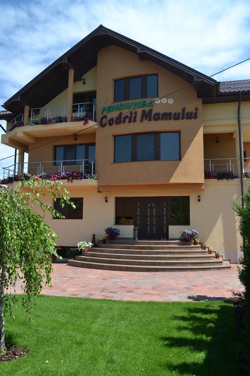 Pensiunea Codrii Mamului Lungesti Exterior photo